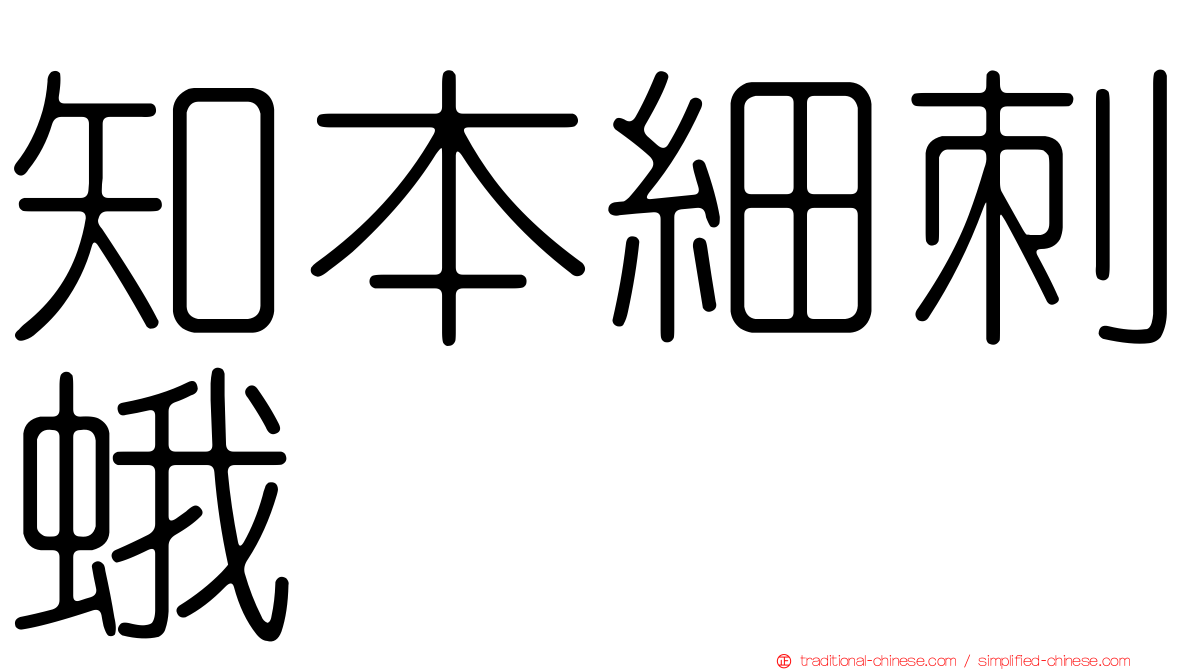 知本細刺蛾