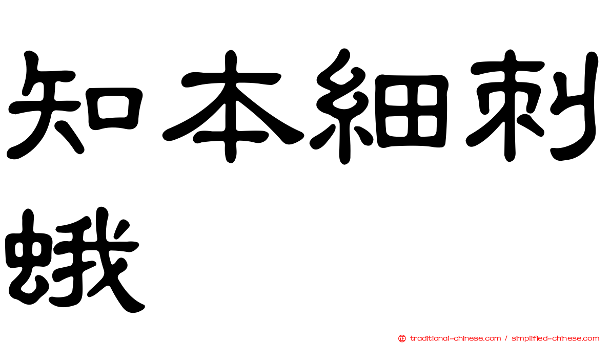 知本細刺蛾