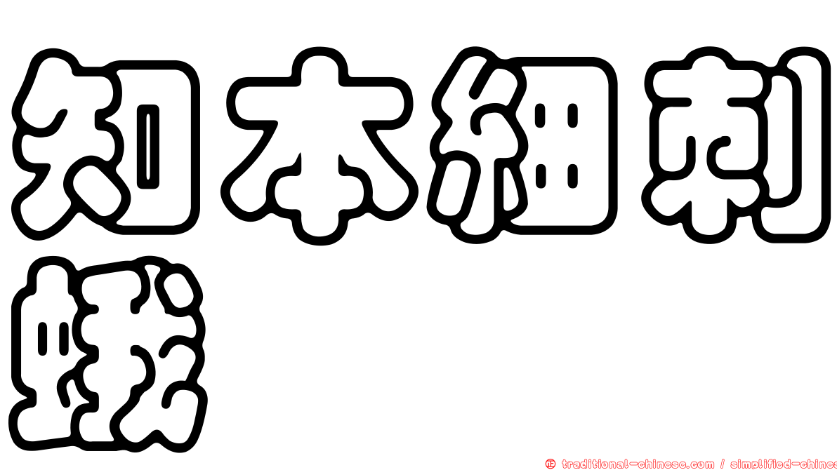 知本細刺蛾