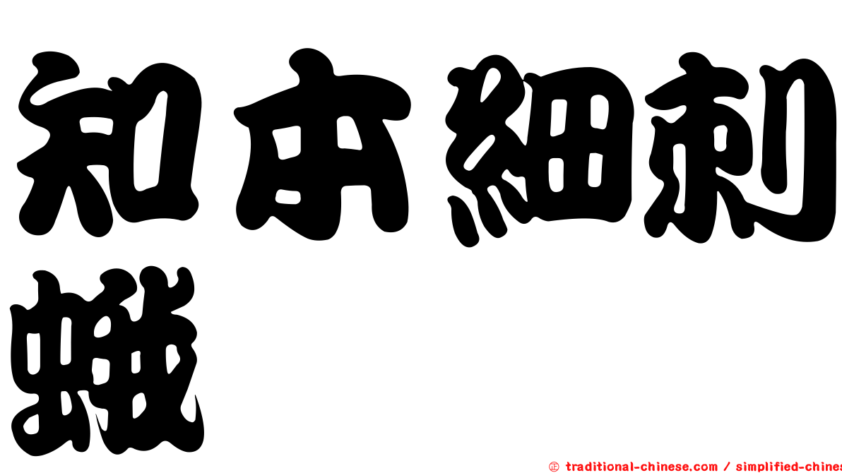 知本細刺蛾