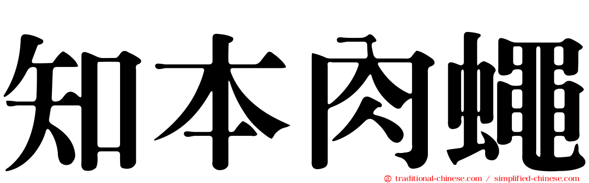 知本肉蠅