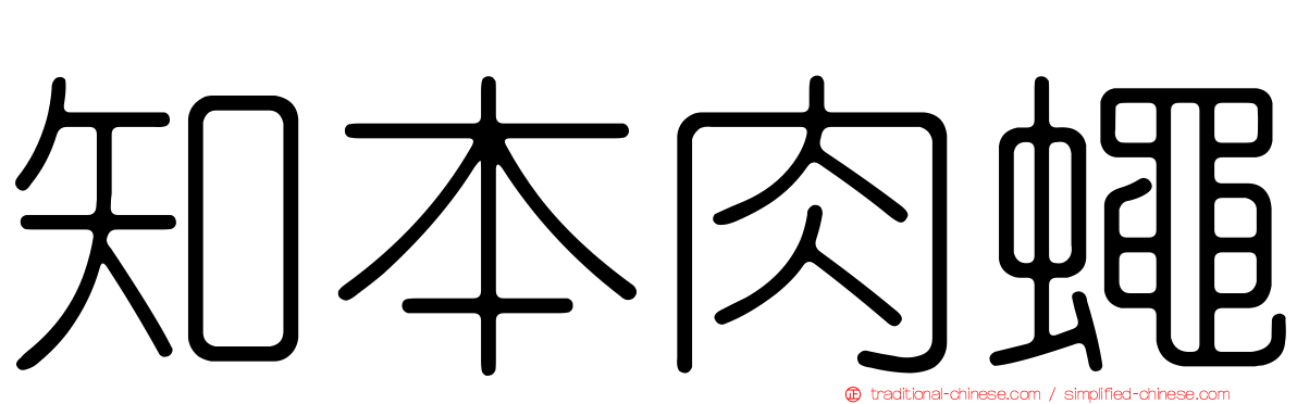 知本肉蠅