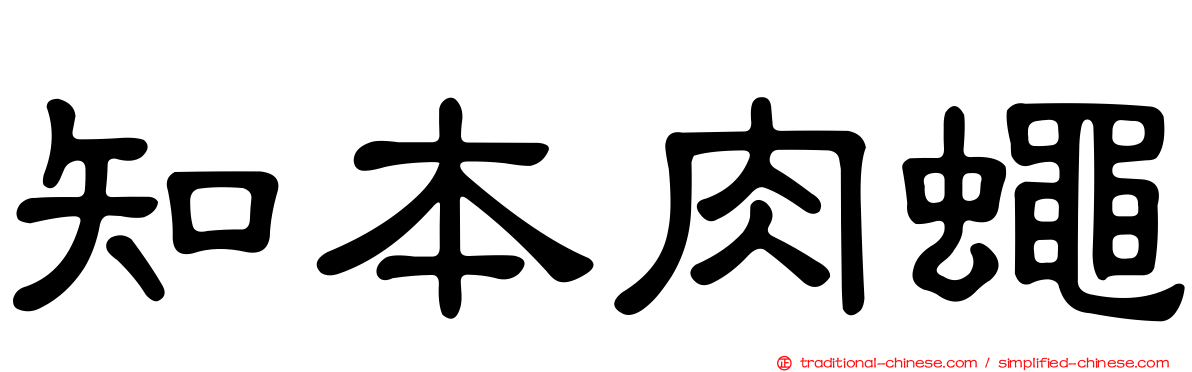 知本肉蠅