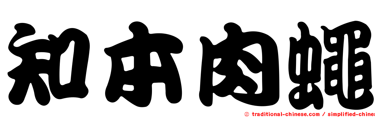 知本肉蠅