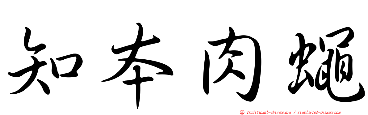 知本肉蠅