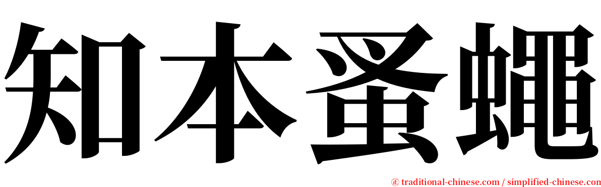 知本蚤蠅 serif font