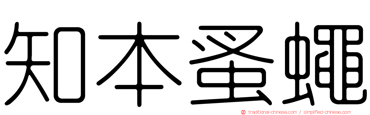 知本蚤蠅