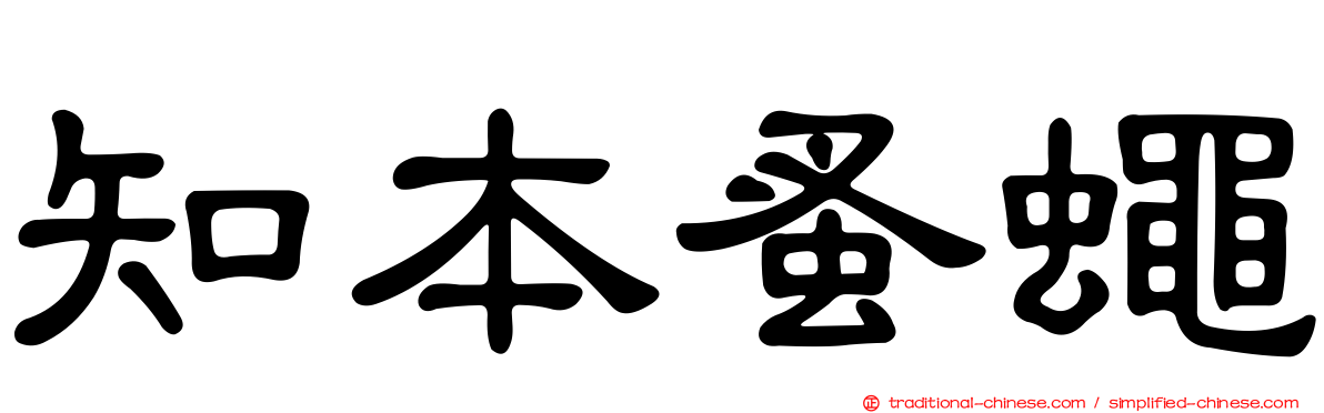 知本蚤蠅