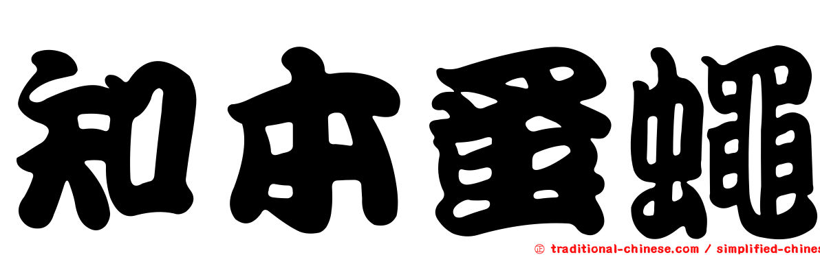知本蚤蠅