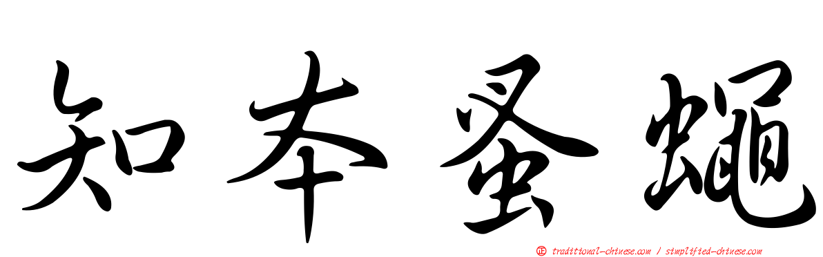 知本蚤蠅