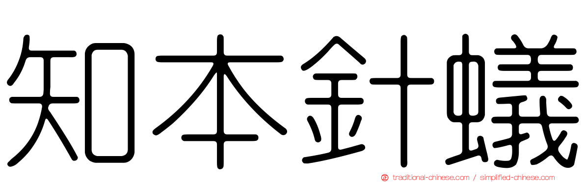 知本針蟻