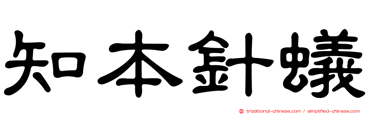 知本針蟻
