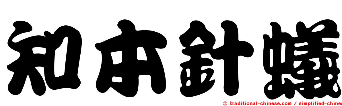 知本針蟻