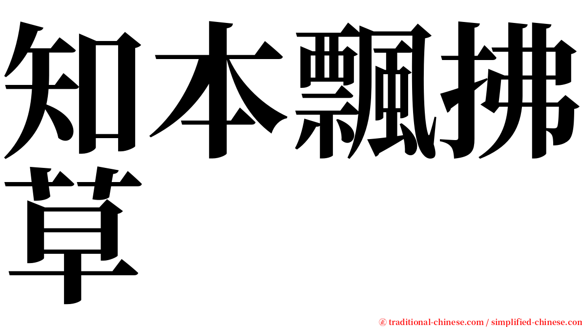 知本飄拂草 serif font