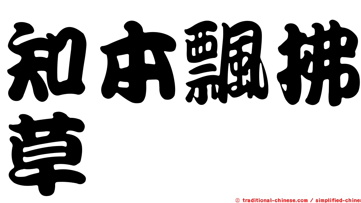 知本飄拂草