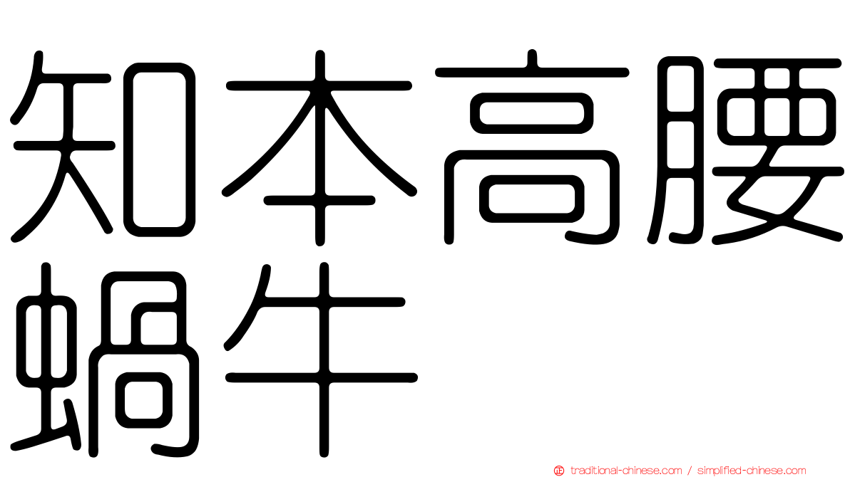 知本高腰蝸牛