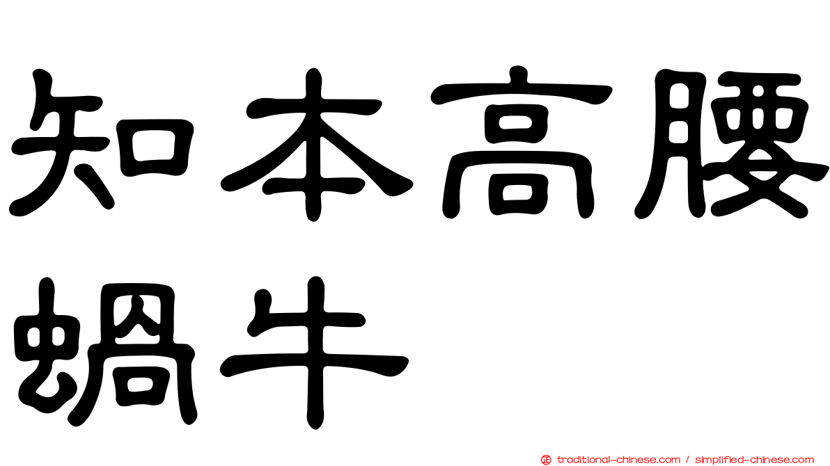 知本高腰蝸牛
