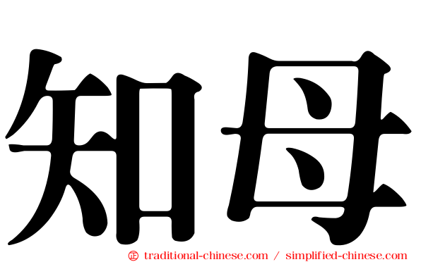 知母