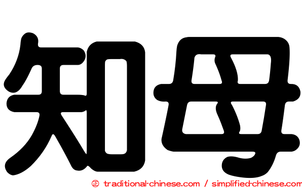 知母