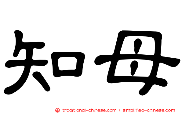 知母