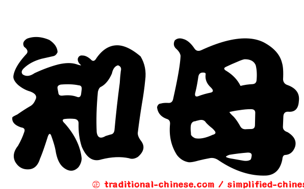 知母