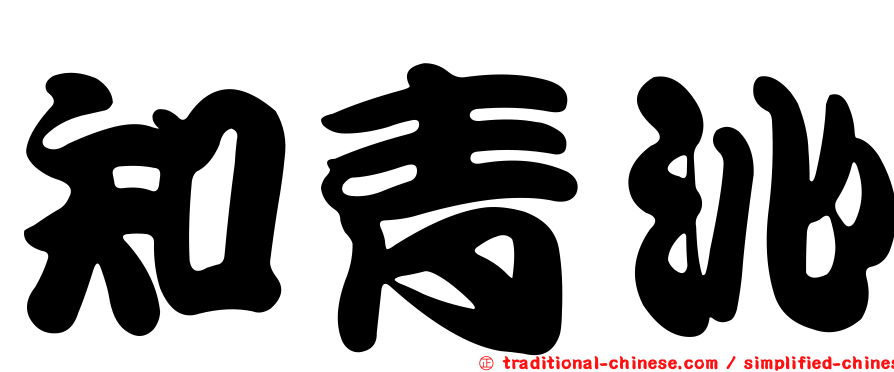 知青沁