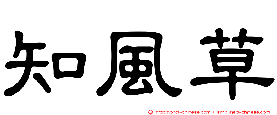 知風草