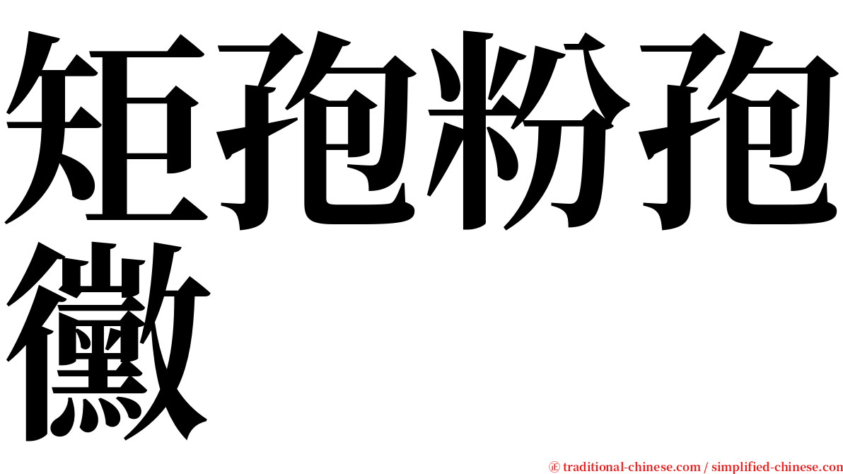 矩孢粉孢黴 serif font