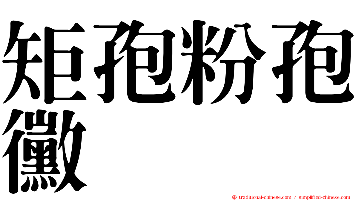 矩孢粉孢黴