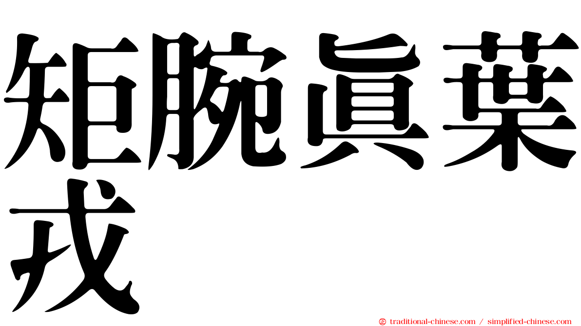 矩腕真葉戎