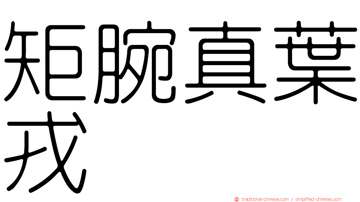 矩腕真葉戎
