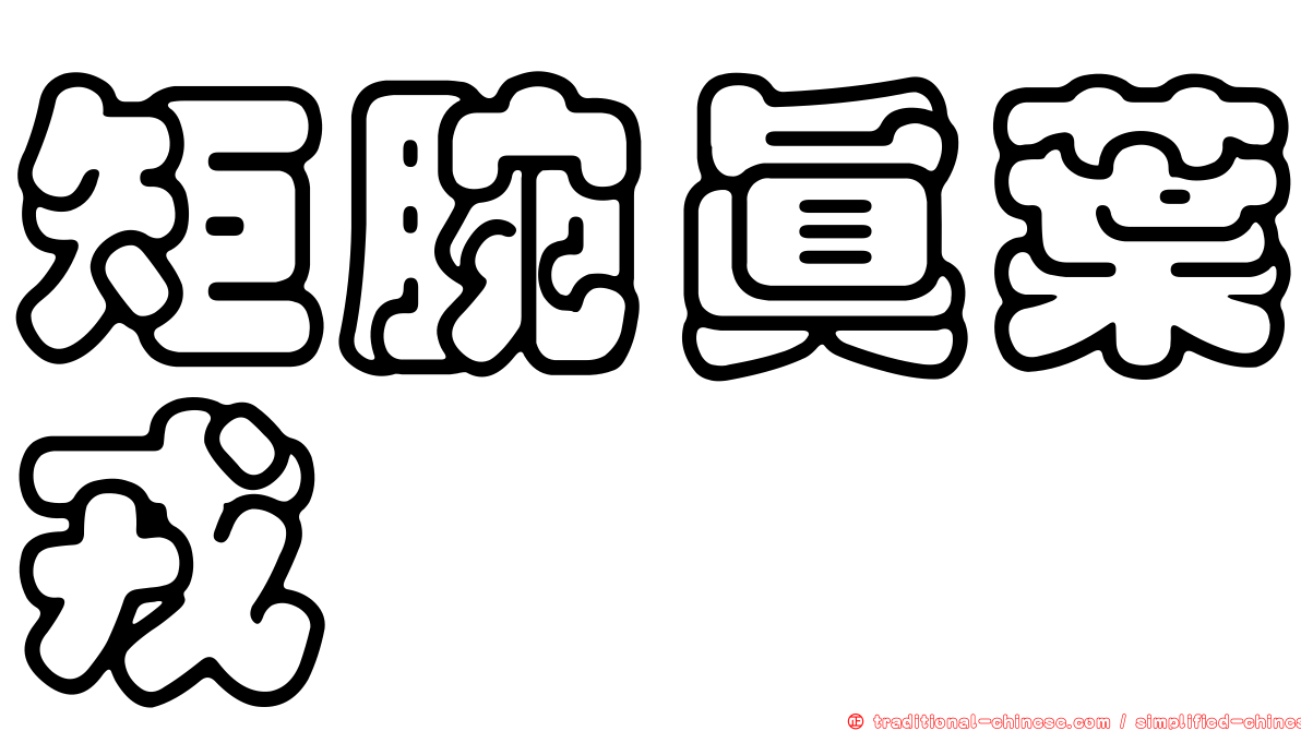 矩腕真葉戎