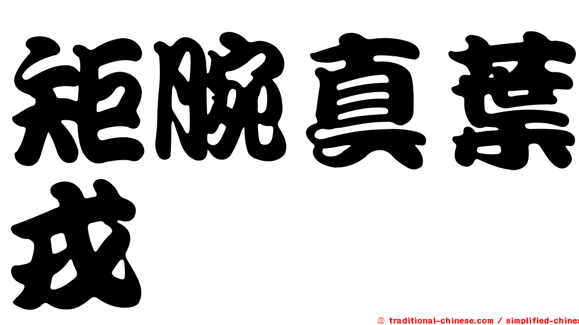 矩腕真葉戎