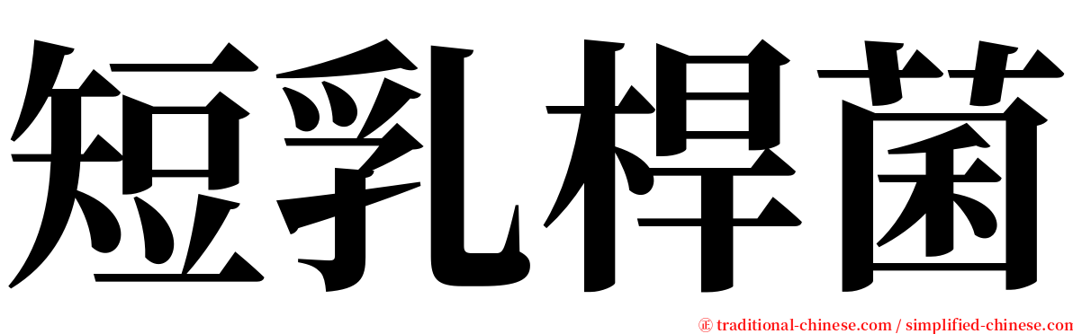 短乳桿菌 serif font