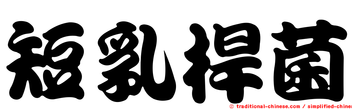 短乳桿菌