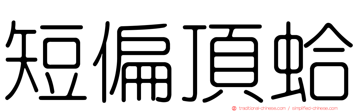 短偏頂蛤