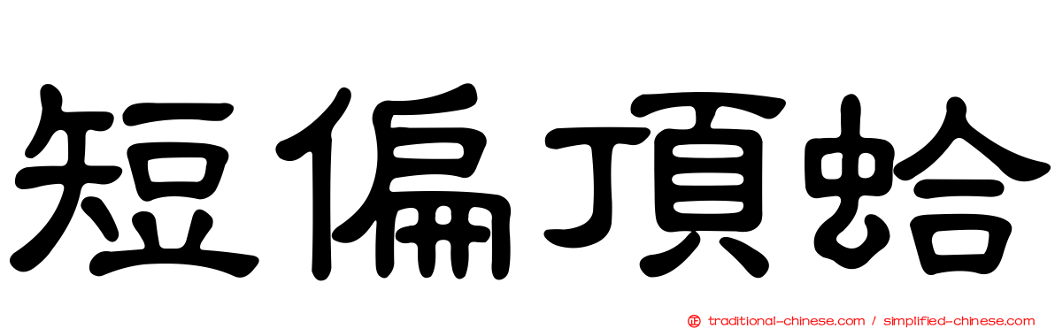 短偏頂蛤