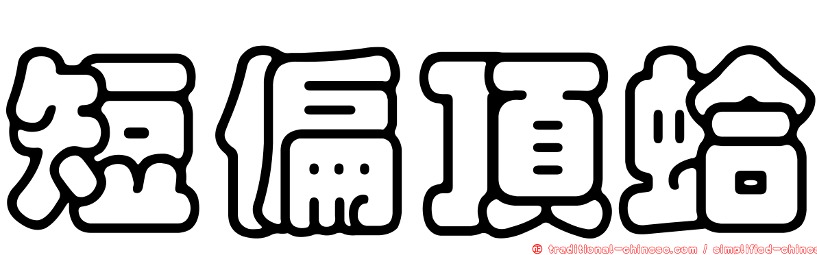 短偏頂蛤