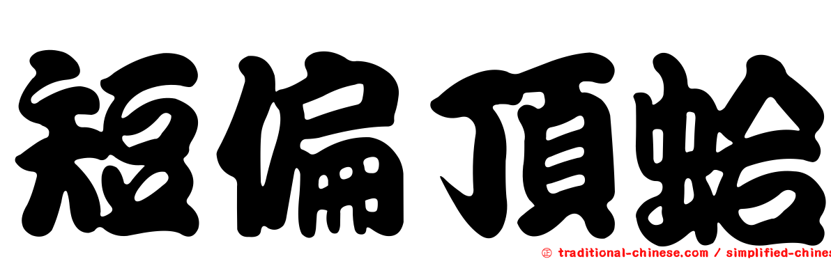 短偏頂蛤