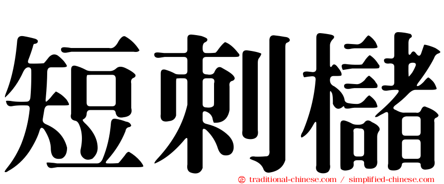 短刺櫧