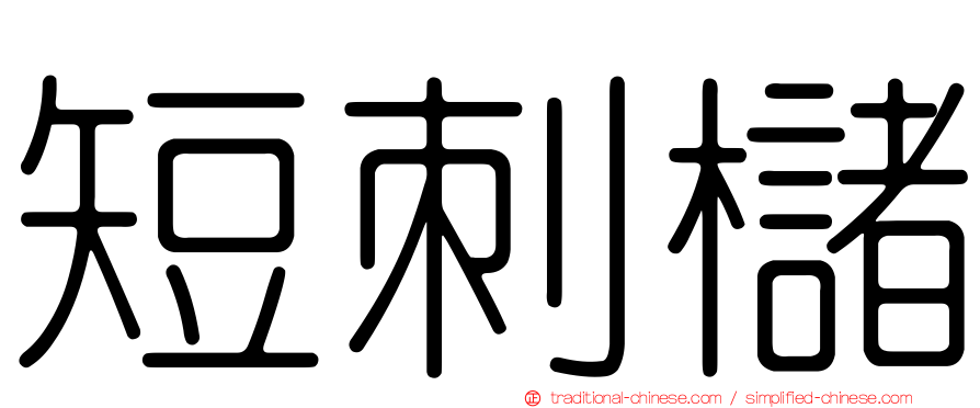 短刺櫧