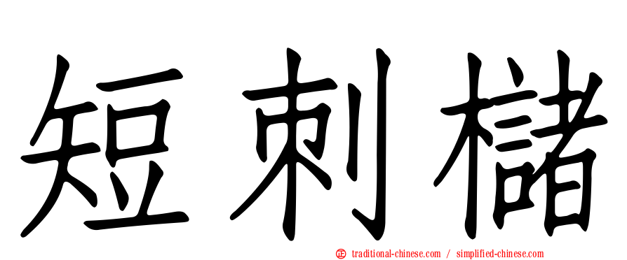 短刺櫧