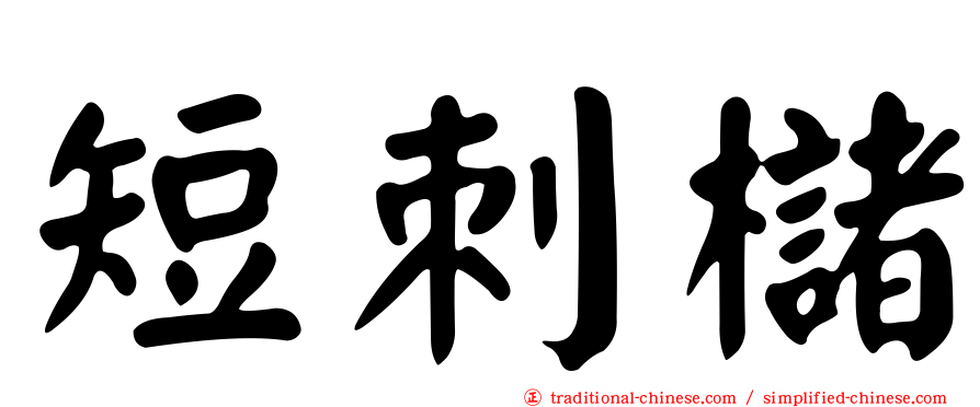 短刺櫧