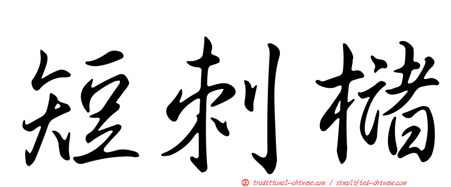 短刺櫧