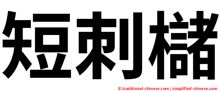 短刺櫧