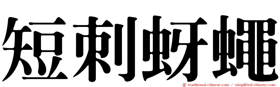 短刺蚜蠅