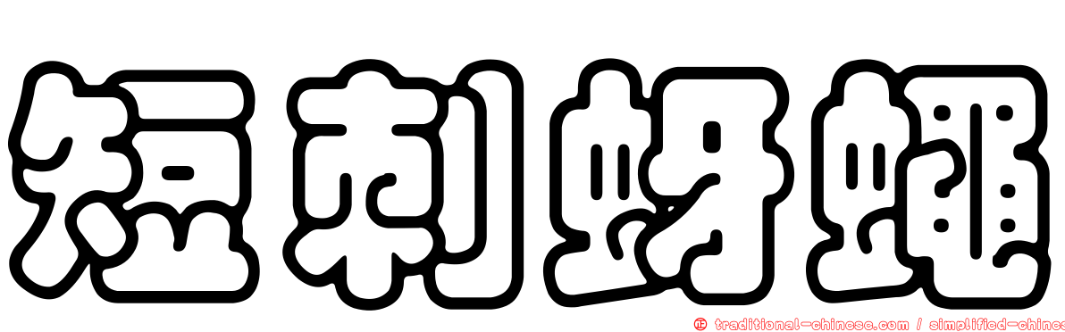 短刺蚜蠅