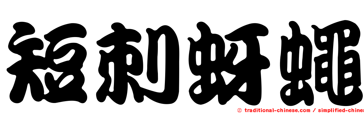 短刺蚜蠅