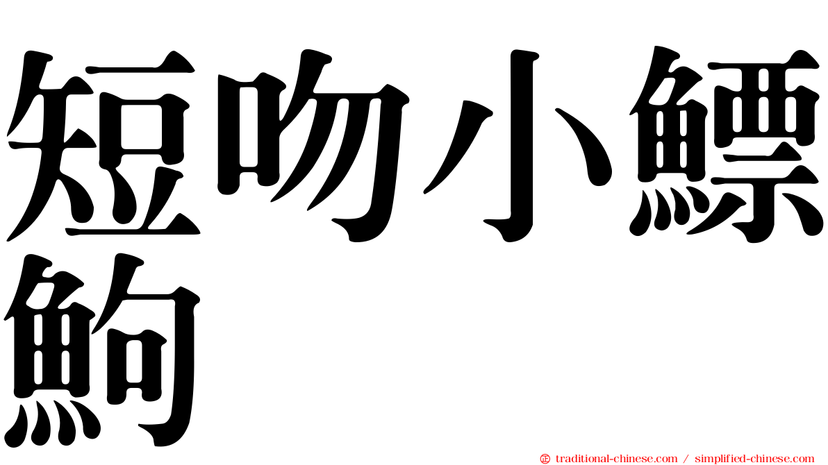 短吻小鰾鮈