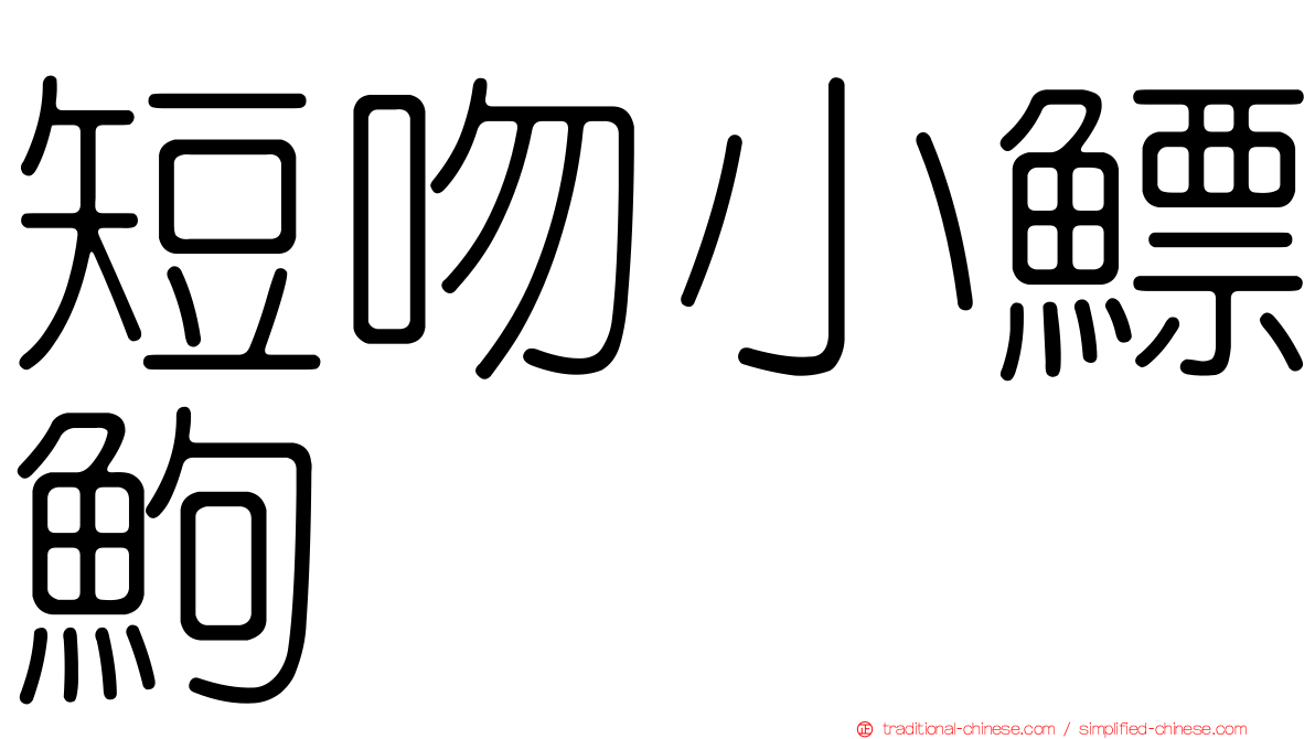 短吻小鰾鮈